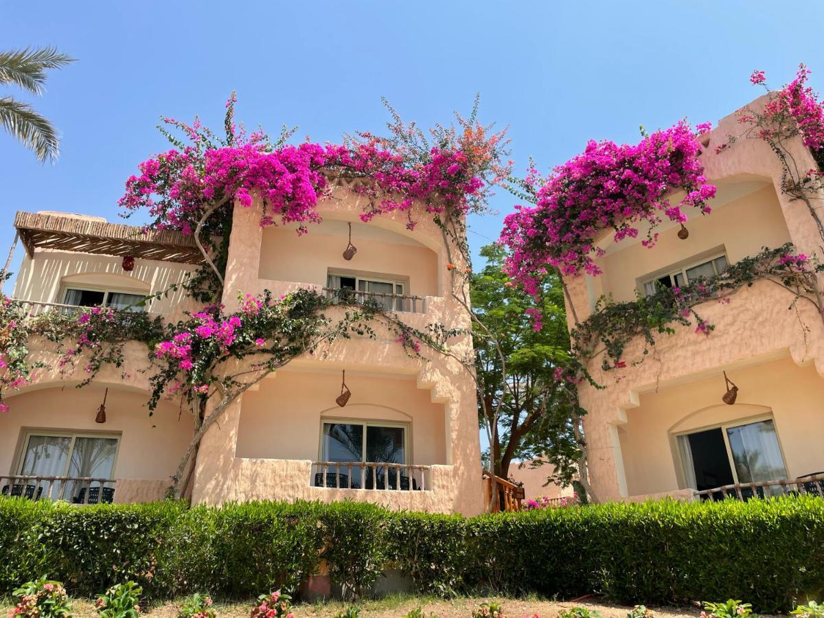 Blue Lagoon View Resort & Spa Marsa Alam Exteriör bild