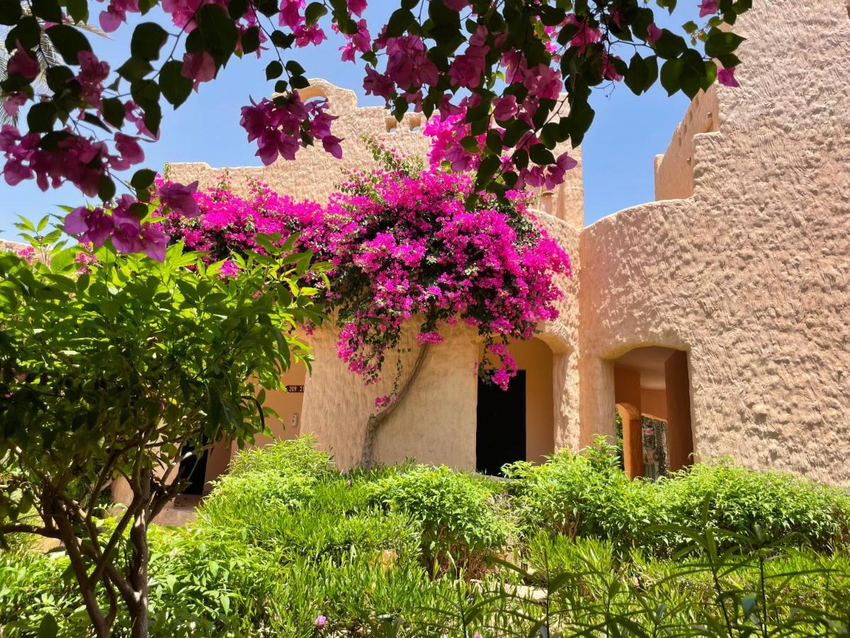 Blue Lagoon View Resort & Spa Marsa Alam Exteriör bild