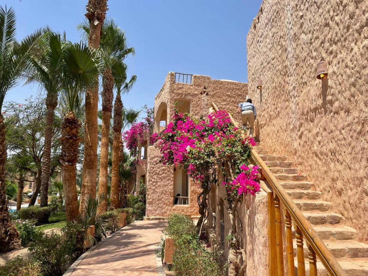 Blue Lagoon View Resort & Spa Marsa Alam Exteriör bild