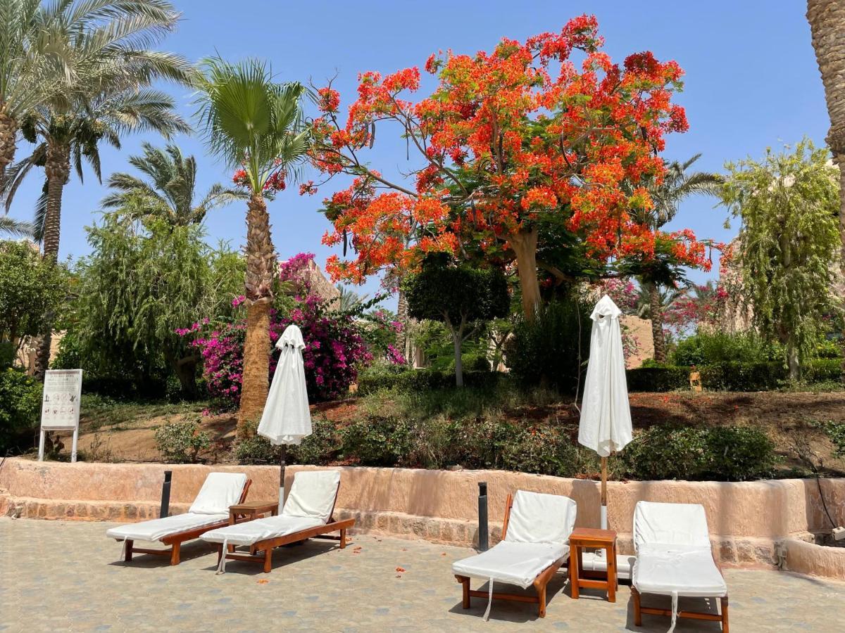 Blue Lagoon View Resort & Spa Marsa Alam Exteriör bild