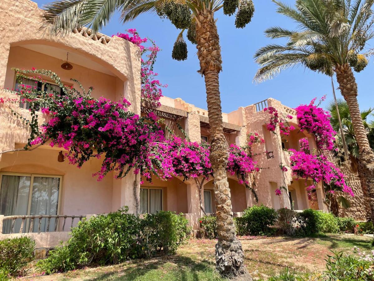 Blue Lagoon View Resort & Spa Marsa Alam Exteriör bild
