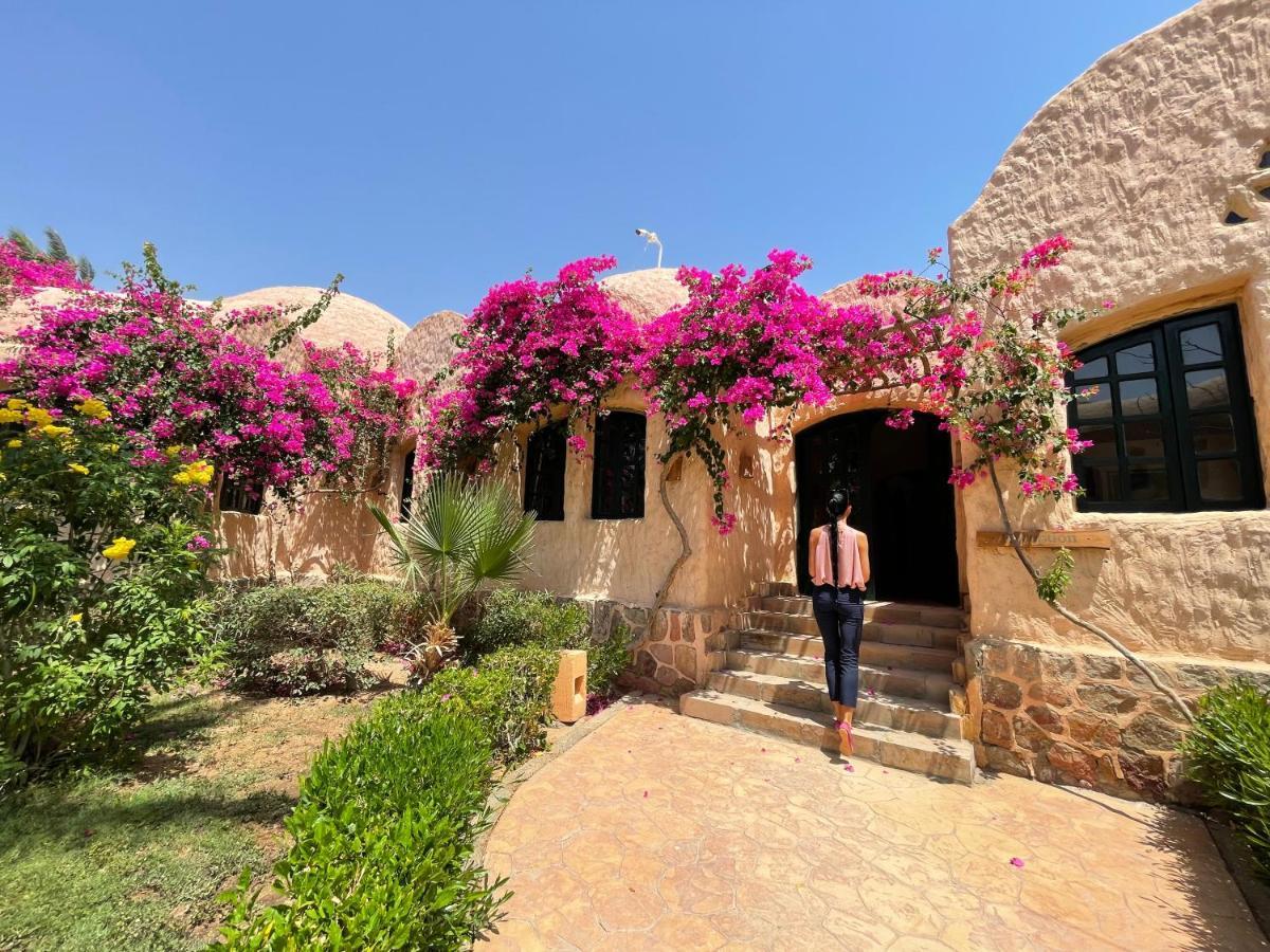 Blue Lagoon View Resort & Spa Marsa Alam Exteriör bild